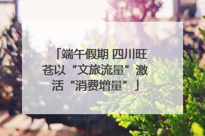 端午假期 四川旺苍以“文旅流量”激活“消费增量”
