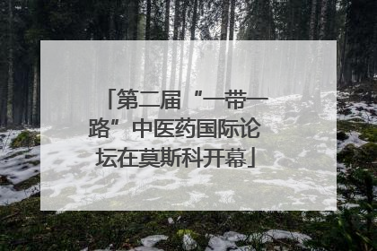 第二届“一带一路”中医药国际论坛在莫斯科开幕