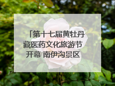 第十七届黄牡丹藏医药文化旅游节开幕 南伊沟景区重新开放