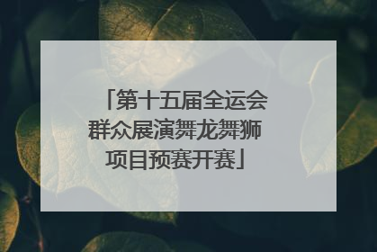 第十五届全运会群众展演舞龙舞狮项目预赛开赛