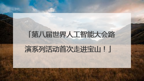 第八届世界人工智能大会路演系列活动首次走进宝山！