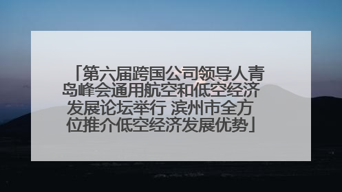 第六届跨国公司领导人青岛峰会通用航空和低空经济发展论坛举行 滨州市全方位推介低空经济发展优势