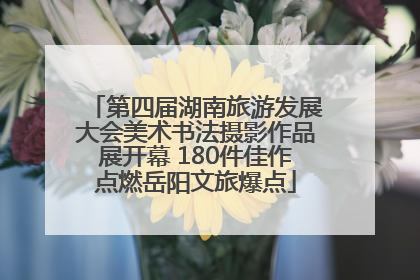 第四届湖南旅游发展大会美术书法摄影作品展开幕 180件佳作点燃岳阳文旅爆点