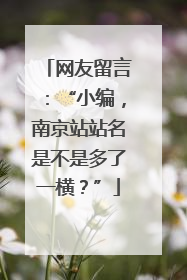 网友留言：“小编，南京站站名是不是多了一横？”