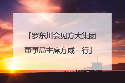 罗东川会见方大集团董事局主席方威一行