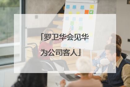 罗卫华会见华为公司客人