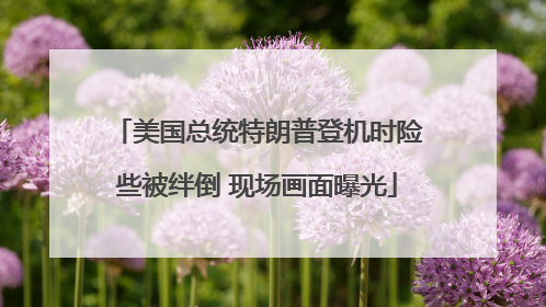 美国总统特朗普登机时险些被绊倒 现场画面曝光