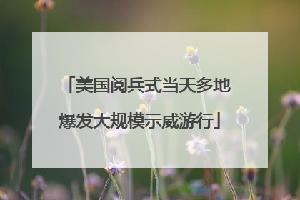 美国阅兵式当天多地爆发大规模示威游行