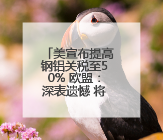 美宣布提高钢铝关税至50% 欧盟：深表遗憾 将继续谈判