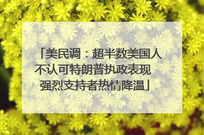 美民调：超半数美国人不认可特朗普执政表现 强烈支持者热情降温