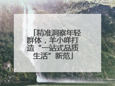 精准洞察年轻群体，羊小咩打造“一站式品质生活”新范