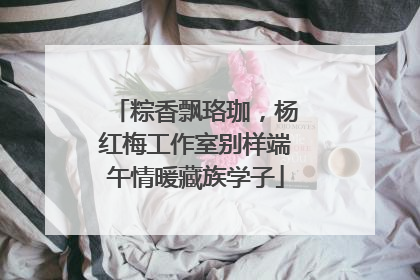 粽香飘珞珈，杨红梅工作室别样端午情暖藏族学子