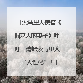 索马里大使借《掘墓人的妻子》呼吁：请把索马里人“人性化”！