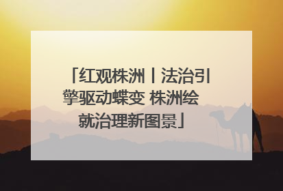 红观株洲丨法治引擎驱动蝶变 株洲绘就治理新图景