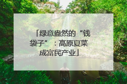 绿意盎然的“钱袋子”：高原夏菜成富民产业
