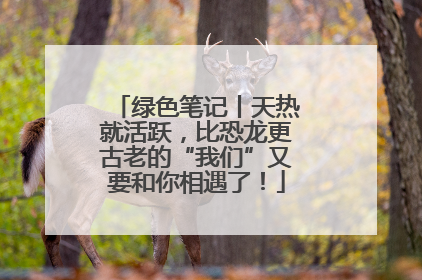 绿色笔记丨天热就活跃，比恐龙更古老的“我们”又要和你相遇了！