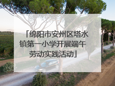 绵阳市安州区塔水镇第一小学开展端午劳动实践活动