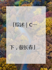 综述｜C一下，很长春