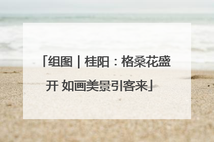 组图｜桂阳：格桑花盛开 如画美景引客来