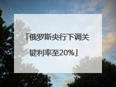 俄罗斯央行下调关键利率至20%