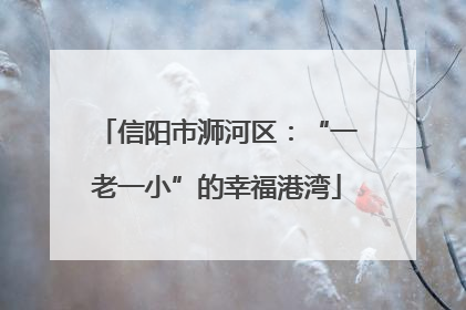信阳市浉河区：“一老一小”的幸福港湾