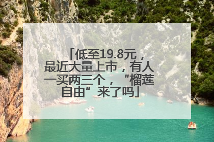 低至19.8元，最近大量上市，有人一买两三个，“榴莲自由”来了吗