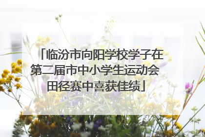 临汾市向阳学校学子在第二届市中小学生运动会田径赛中喜获佳绩