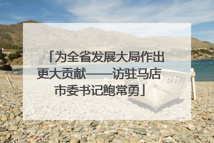 为全省发展大局作出更大贡献——访驻马店市委书记鲍常勇