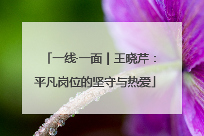 一线·一面｜王晓芹：平凡岗位的坚守与热爱