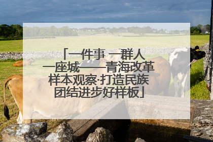 一件事 一群人 一座城——青海改革样本观察·打造民族团结进步好样板