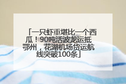 一只虾重堪比一个西瓜！90吨活波龙运抵鄂州，花湖机场货运航线突破100条