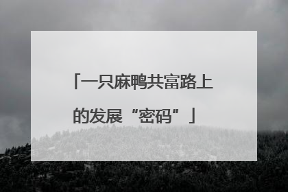 一只麻鸭共富路上的发展“密码”