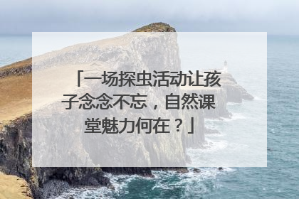 一场探虫活动让孩子念念不忘，自然课堂魅力何在？
