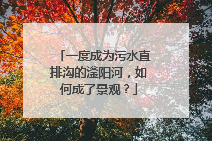一度成为污水直排沟的滏阳河，如何成了景观？