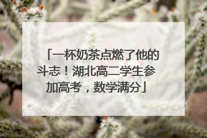 一杯奶茶点燃了他的斗志！湖北高二学生参加高考，数学满分