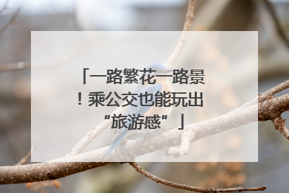 一路繁花一路景！乘公交也能玩出“旅游感”