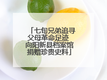 七旬兄弟追寻父母革命足迹 向阳新县档案馆捐赠珍贵史料