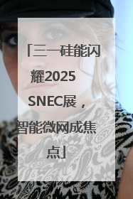 三一硅能闪耀2025 SNEC展，智能微网成焦点