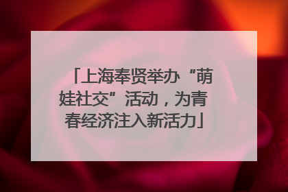 上海奉贤举办“萌娃社交”活动，为青春经济注入新活力