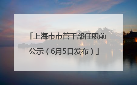 上海市市管干部任职前公示（6月5日发布）