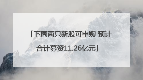 下周两只新股可申购 预计合计募资11.26亿元