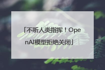 不听人类指挥！OpenAI模型拒绝关闭