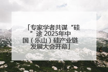 专家学者共谋“硅”途 2025年中国（乐山）硅产业链发展大会开幕