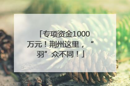专项资金1000万元！荆州这里，“羽”众不同！