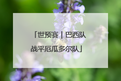 世预赛｜巴西队战平厄瓜多尔队