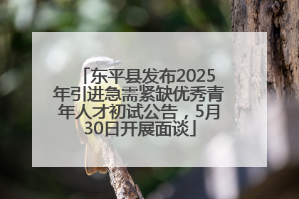 东平县发布2025年引进急需紧缺优秀青年人才初试公告，5月30日开展面谈