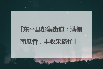 东平县彭集街道：满棚南瓜香，丰收采摘忙