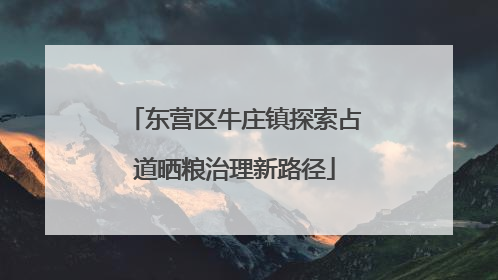 东营区牛庄镇探索占道晒粮治理新路径