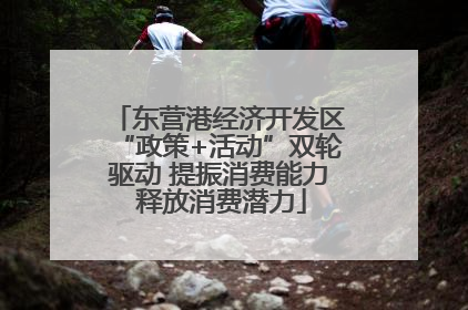 东营港经济开发区“政策+活动”双轮驱动 提振消费能力 释放消费潜力