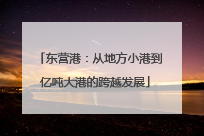 东营港：从地方小港到亿吨大港的跨越发展